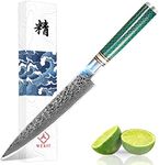 Utility Paring Knife 6 Inch Chefs Knife Damascus Chefs Knife Utility Kitchen Knife Fruit Knife Japanese VG10 Kitchen Paring Knives High Carbon Stainless Steel Knife 67-Layer Gyuto Chef Knife