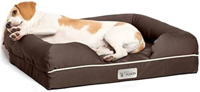 PetFusion Small Dog Bed with Solid 2.5" Memory Foam