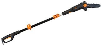 WEN 4019 6-Amp 8-Inch Electric Telescoping Pole Saw with 12-Foot Reach