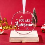 Inspirational Glass Ornament with Motivational Message You are Awesome, Gift for Women Friend Daughter Son Family Christmas Birthday (Glass, Awesome)