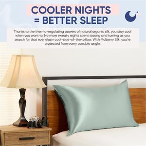 Blissy Silk Pillowcase, 100% Mulberry Silk 22 Momme – Standard, Matcha