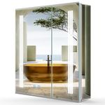 LUMIRRORS® LED Bathroom Mirror Cabinet 60x70cm with Shaver Socket Dimmable Brightness Touch-Switch Anti-fog 2-door Adjustable Shelves IP44 Illuminated Lights Wall Cabinets Storage Cupboard