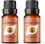 Aroma Energy | Carrot Seed Essentia