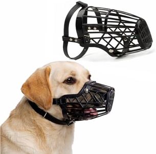 Woofy Anti