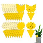 Rpanle 50 PCS Fruit Fly Traps, Double-sided Fungus Gnat Sticky Catcher For Multiple Insects, Plant Fly Control Indoor