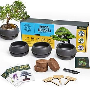 Bonsai Tree Seed Starter Kit - Mini Bonsai Plant Growing Kit, 3 Types of Seeds, Potting Soil, Pots, Pruning Shears Scissor Tool, Plant Markers, Wood Gift Box, Fathers Day Gardening Gifts Ideas