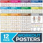 [12-PACK] Laminated Large Workout Poster Set - Perfect Workout Posters for Home Gym - Exercise Charts Incl. Dumbbell, Yoga Poses, Resistance Band, Kettlebell, Stretching & More Fitness Gym Posters