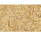 KD_Rice_Straw,MP Best Paddy Straw,Rice Straw for Oyster Mushroom Cultivation/for Organic Mulching 100% Pure & Organic or Roses,Garden Beds,vegetabels,Flower,Fruits,Pots,Trees, Pack of 2 kg