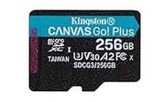 Kingston 256GB Canvas Go Plus micro
