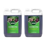 Envii Seafeed Xtra - Organic Liquid Seaweed Fertiliser - 10 Litre