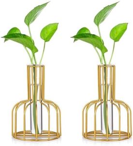 Glass Propagation Station with Metal Frame, Gold Flower Vase, Test Tube Vase for Hydroponic Plant, Small Bud Vase for Home Kitchen Office Table Top Decor