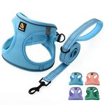 BELLA & PAL Dog Harness and Leash Set, Step-in Small Dog Harness for Extra Small Dogs, Soft Mesh Breathable Harness with Reflective Strip, Puppy Harness No Pull Harness for Small Dogs, Blue, M