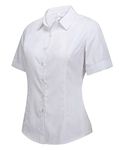 Double Plus Open Women's Basic Cotton Stretch Dress Shirt Short Sleeve Blouse, White, M