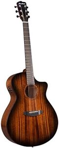 Breedlove Organic Wildwood Pro Dreadnought Concerto CE Acoustic-electric Guitar - Suede