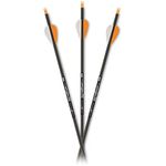 Carbon Express Gameslayer Fletched Carbon Arrows with 2" Nrg Speed Vane, 250 OR 350 Options, Pre-Cut at 30" with Inserts Installed , Black/Orange