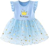 Bold N Elegant Silver Sequin Embroidered Crown Princess Text Print Party Tutu Dress Frock for Infant Toddler Baby Girls (Blue, 2-3 Years, 2_Years)