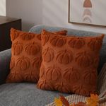 DFXSZ Fall Pillow Covers 18x18 Set of 2 Fall Decorations Autumn Rust Pumpkin Throw Pillow Cases Soft Plush Faux Fur Wool Couch Cushion Case for Chair Sofa Bedroom Living Room Home Decor PTK012A18