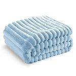 Bedsure Blue Fleece Blanket for Cou
