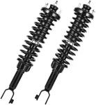 AUTOSAVER88 Rear Complete Struts Shocks and Coil Spring Assembly Compatible with 1996-2000 Civic