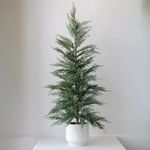 Sinclair & Moore Holiday Collection 2023 by CG Hunter, Set-of-1 Faux Cedar Trees, Premium Artificial Indoor Cedar Tree Stands 36" Tall in Creme Pot–Perfect Christmas Decoration