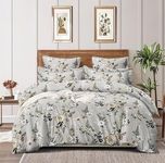 DECOR2ADMIRE 300 Thread Count Premium Cotton Queen Size Printed Double Bedsheet with Two Pillow Covers for Home 90 Inches x 100 Inches (Grey Floral)