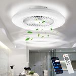 BKZO Smart LED Ceiling Light with F