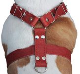 Red Genuine Leather Dog Harness, Large to Xlarge. 33"-37" Chest, 1.5" Wide Straps, Rottweiler Mastiff