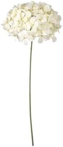 Ikea SMYCKA Artificial Flower, in/Outdoor Hydrangea/Off-White, 76 cm (30 ")