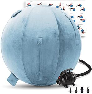 Exercise Ball 65cm/26in, Sky Blue Mirco Plush Soft Cover with Electric Quick Pump For Yoga, Pilates, Fitness Balance Stability, Office Ball Chair Seat. Soft & Slip Resistant, Pro Guide