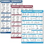 Palace Learning 3 Pack: Dumbbell Exercise Poster + Resistance Bands Workouts + Stretching Exercises - Set of 3 Workout Charts (LAMINATED, 18" x 24")