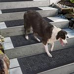 Aucuda 4 Packs Stair Treads for Wooden Steps Spring, 8.5" x 30 Stair Treads Carpet for Outdoor Steps Valentine's Day, Rubber Backing Stair Treads Non-Slip, Gray Stair Runner Rugs Heavy Duty.