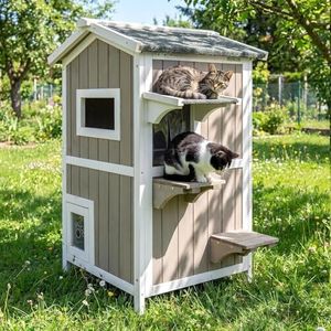 Pawbuilt C