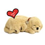 Perfect Petzzz – 4908 – Plush – Dog Golden Retriever