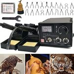 Byforphye 110V Professional Wood Burning Tool Gourd Crafts Supplies Pyrographt Machine Kit with Dual Burning Port & Adjustable Temperature (Pointer Display)