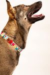 Lana Paws Summery Skin-Friendly, Lightweight & Durable Fabric Dog Collar, Medium