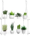 Hanging Clear Plant Shelves for Win