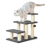 Pawque Dog Stairs & Cat Scratching 