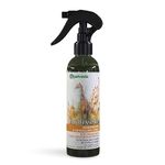 PETVEDA Ayurvedic Deodorant Perfume Detangling Spray Cologne with Bergamot essential oil| Alcohol-free natural fragrance for Dogs & Cats, maintains healthy Coat, Fur & Hair |Sulphate and Paraben Free-250ML