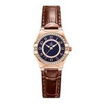 SK Ladies Easy Read Watch with Arabic Numerals Crystal Diamond Women Dress Watches Water Resistant (Brown)
