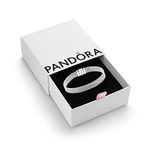 Pandora Timeless Women's Sterling Silver Mesh Bracelet for Charms, Size 19, With Gift Box