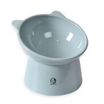 Foodie Puppies Elevated Cat Bowl Feeder Food Water Feeder Bowl for Cats, Kittens & Puppies | Persian Cat Food Bowl Tilted Raised Bowl Anti Vomiting 45° Slanted Bowl, Plastic, 15 X 5.02 X 5 Cm