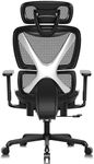 GABRYLLY Ergonomic Office Chair wit