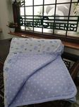 BAMBOO GREENS 100% Bamboo Fiber Quilts for Summer and Winter (Butter Fly, Single) (150x200cm)