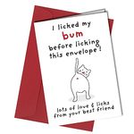 Humorous Happy Birthday Card from The Cat Pet Kitten Amusing Cat Theme Perfect for Mum/Dad/Husband/Wife/Boyfriend/Girlfriend #349