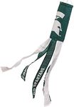 College Flags & Banners Co. Michigan State Spartans Sparty Head Windsock