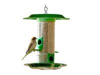 Amijivdaya Medium Bird Feeder with hut Pack of 1