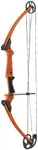Genesis Archery Compound Bow, w/Adj