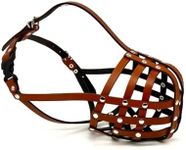 Light Real leather Dog Muzzle for Staffordshire Bull Terrier Staffy, Staffie