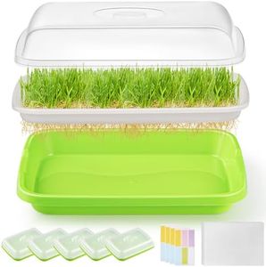 FELISTORY 6 Pack Green Seed Sprouter Trays with Lid, Soil-Free Cultivation Germination Tray, Nursery Tray with Planting Paper for Indoors or Outdoors