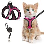 Cat Harness For Walking Escape Proof